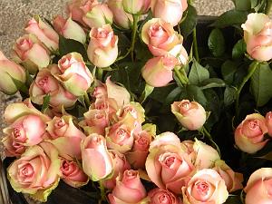 AOBR 2015 02 15 PLAN DE CUQUES ST VALENTIN (5)
